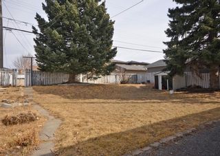 Photo 6: 2828 24 Street NW in Calgary: Banff Trail Detached for sale : MLS®# A1200473