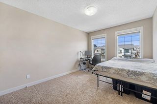 Photo 24: 37 Skyview Springs Road NE in Calgary: Skyview Ranch Detached for sale : MLS®# A2131644