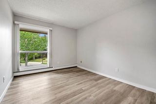 Photo 18: 631 860 Midridge Drive SE in Calgary: Midnapore Apartment for sale : MLS®# A2054722