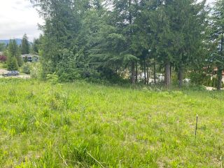 Photo 6: 30 Walsh Road in Blind Bay: SHUSWAP LAKE ESTATES Vacant Land for sale