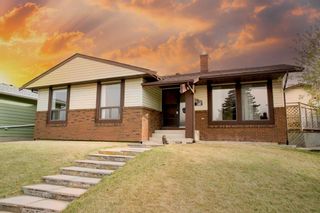 Main Photo: 59 Bedwood Place NE in Calgary: Beddington Heights Detached for sale : MLS®# A1217420