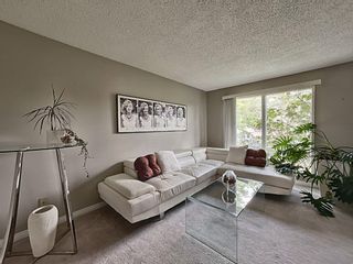 Photo 3: 172 Abalone Place NE in Calgary: Abbeydale Semi Detached (Half Duplex) for sale : MLS®# A2000430