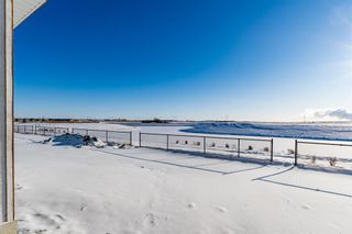 Photo 37: 163 Chelsea Grove: Chestermere Detached for sale : MLS®# A2015586