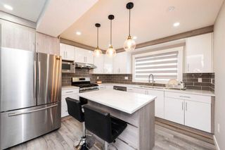 Photo 5: 287 Martindale Boulevard NE in Calgary: Martindale Detached for sale : MLS®# A2127561