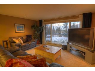 Photo 19: 139 HAWKSIDE Close NW in CALGARY: Hawkwood Residential Detached Single Family for sale (Calgary)  : MLS®# C3548715