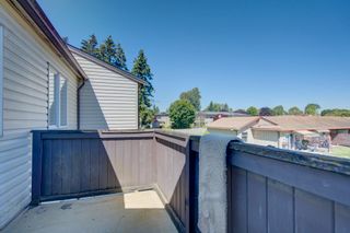 Photo 22: 176 2844 273 Street in Langley: Aldergrove Langley Townhouse for sale in "Chelsea Court" : MLS®# R2704359
