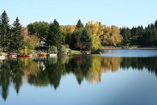 Photo 50: 1003 Lake Bonavista Drive SE in Calgary: Lake Bonavista Detached for sale : MLS®# A2014715