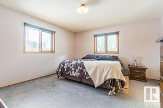Photo 21: 452055 RGE RD 263: Rural Wetaskiwin County House for sale : MLS®# E4377901