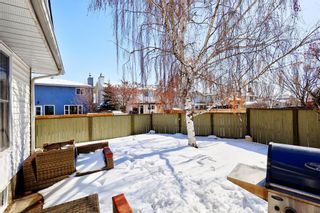 Photo 41: 331 Mckerrell Place SE in Calgary: McKenzie Lake Detached for sale : MLS®# A2032883