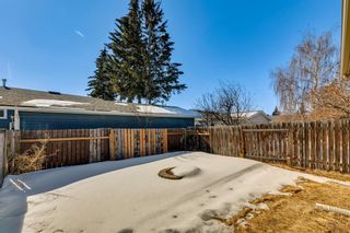 Photo 44: 39 Summerfield Close SW: Airdrie Detached for sale : MLS®# A2034288