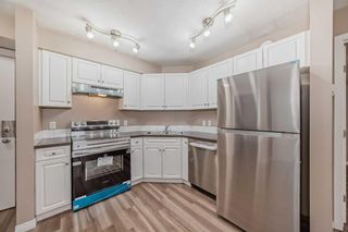 Photo 11: 214 2000 Applevillage Court SE in Calgary: Applewood Park Apartment for sale : MLS®# A2130391
