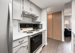 Photo 10: 405 2011 University Drive NW in Calgary: University Heights Apartment for sale : MLS®# A1223061