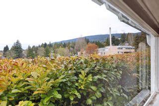Photo 11: 1195 KINGS Avenue in West Vancouver: Ambleside House for sale : MLS®# R2867714