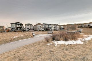Photo 47: 160 Sherwood Crescent NW in Calgary: Sherwood Detached for sale : MLS®# A1176108