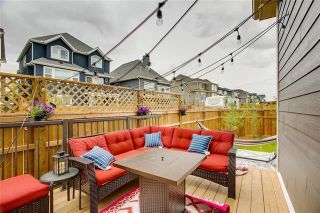 Photo 42: 393 MASTERS Avenue SE in Calgary: Mahogany Detached for sale : MLS®# C4302572