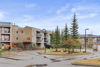 Photo 3: 119 69 Springborough Court SW in Calgary: Springbank Hill Apartment for sale : MLS®# A2130126