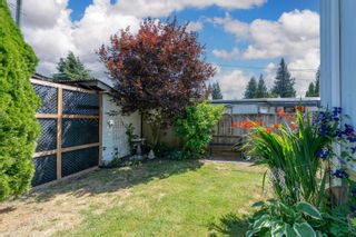Photo 4: 88 10221 WILSON Street in Mission: Mission BC Manufactured Home for sale in "Triple Creek Estates" : MLS®# R2801939