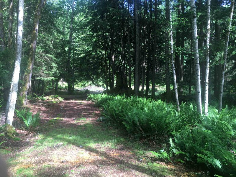 FEATURED LISTING: Lot 8 MOUNTAIN Road Gambier Island