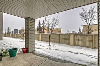 Photo 29: 4122 4975 130 Avenue SE in Calgary: McKenzie Towne Apartment for sale : MLS®# A2097914