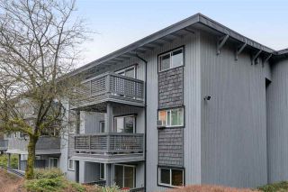 Photo 19: 167 200 WESTHILL Place in Port Moody: College Park PM Condo for sale : MLS®# R2346422