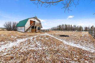 Photo 41: 98012 2248 Drive E: Rural Foothills County Detached for sale : MLS®# A1183294