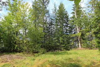 Photo 14: 3462 Eagle Bay Road in Blind Bay: Land Only for sale : MLS®# 10212583