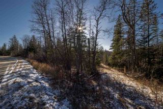Photo 6: Lot Greenfield Road in Greenfield: 404-Kings County Vacant Land for sale (Annapolis Valley)  : MLS®# 202025611
