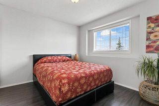 Photo 16: 67 SILVER SPRINGS Way NW: Airdrie Detached for sale : MLS®# A2123786