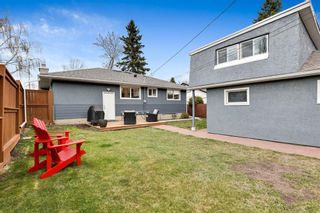 Photo 18: 31 Baker Crescent NW in Calgary: Brentwood Detached for sale : MLS®# A1219749