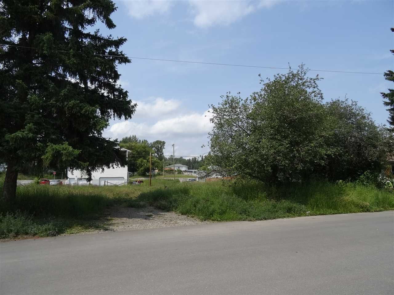 Main Photo: 577 WILLIS STREET in : Quesnel - Town Land for sale : MLS®# R2386031