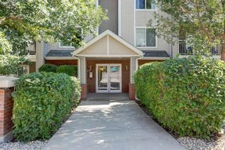 Photo 16: 102 1811 34 Avenue SW in Calgary: Altadore Apartment for sale : MLS®# A1138303