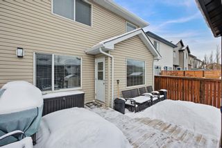 Photo 23: 2045 Bridlemeadows Manor SW in Calgary: Bridlewood Detached for sale : MLS®# A2022680