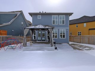 Photo 34: 51 Marquis Green SE in Calgary: Mahogany Detached for sale : MLS®# A2114028