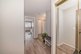 Photo 3: 109 110 20 Avenue NE in Calgary: Tuxedo Park Apartment for sale : MLS®# A2122096