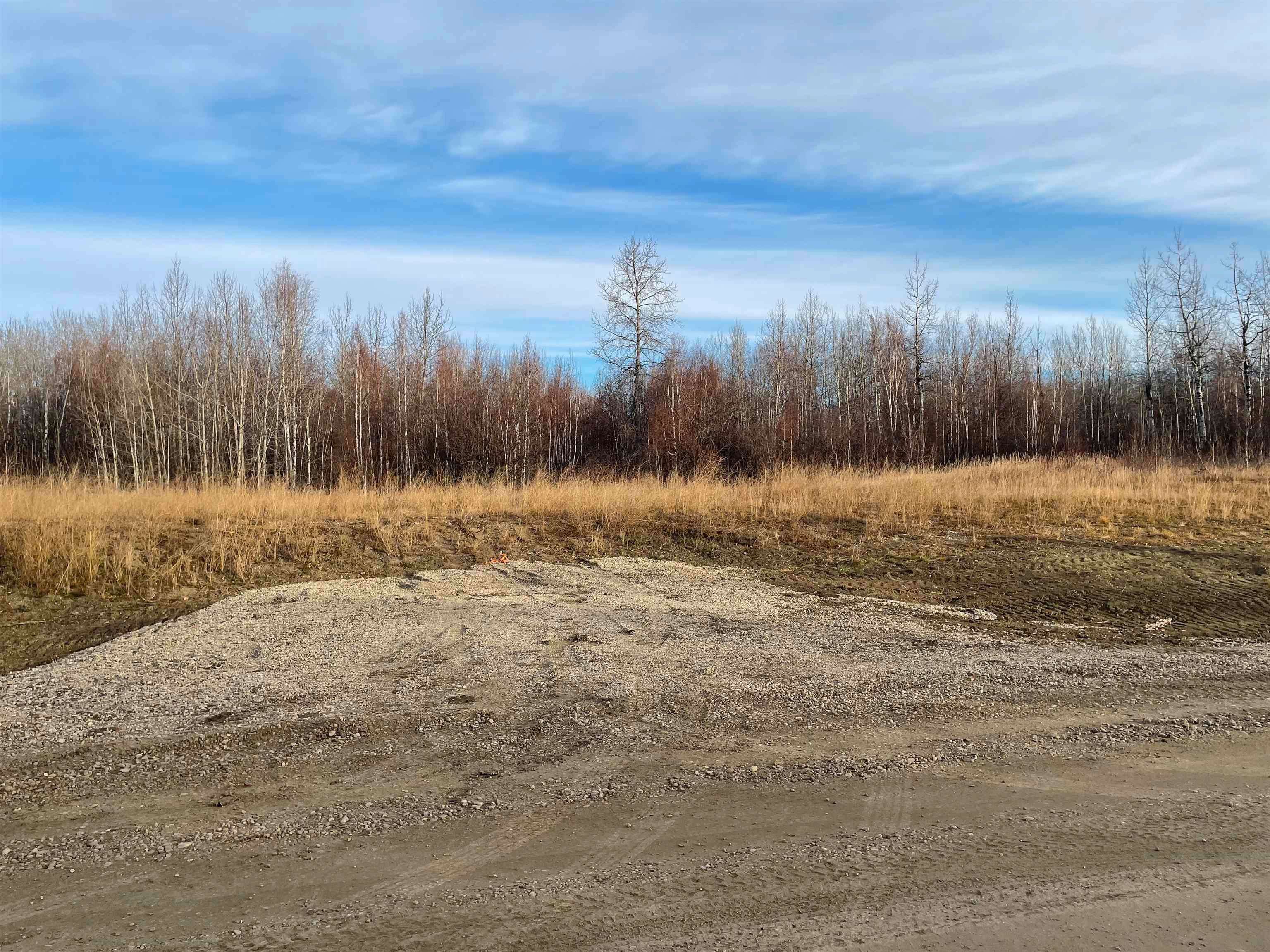 Main Photo: Twp 484 RR 60: Rural Brazeau County Rural Land/Vacant Lot for sale : MLS®# E4269279