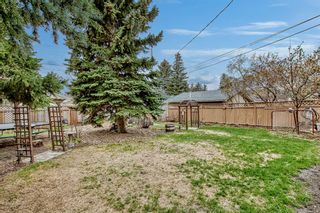 Photo 36: 607 75 Avenue NW in Calgary: Huntington Hills Detached for sale : MLS®# A2046779