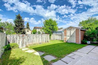 Photo 26: 26 Abalone Crescent NE in Calgary: Abbeydale Detached for sale : MLS®# A1244903