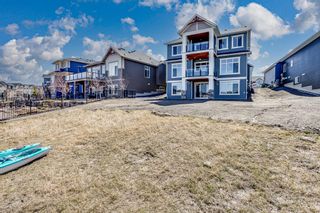 Photo 43: 1223 Bayside Drive SW: Airdrie Detached for sale : MLS®# A2045073