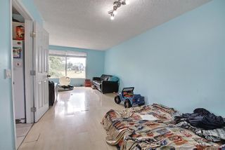 Photo 11: 51 Erin Park Close SE in Calgary: Erin Woods Detached for sale : MLS®# A1138830