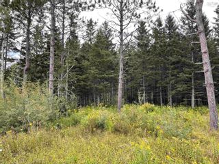Photo 1: Lot Lorne Station Road in Lorne: 108-Rural Pictou County Vacant Land for sale (Northern Region)  : MLS®# 202317598