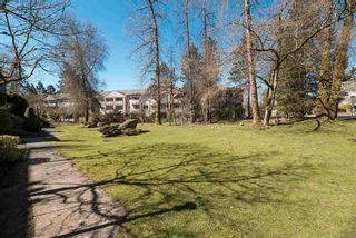 Photo 19: 1932 GOLETA DRIVE in Burnaby: Montecito Townhouse for sale (Burnaby North)  : MLS®# R2721428