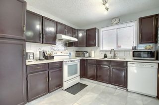 Photo 8: 56 CASTLEBROOK Place NE in Calgary: Castleridge Detached for sale : MLS®# C4299262