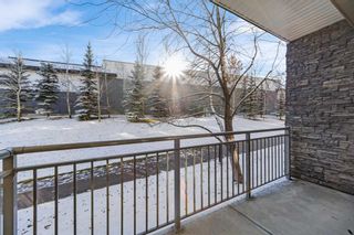 Photo 20: 125 11 Millrise Drive SW in Calgary: Millrise Apartment for sale : MLS®# A2093779