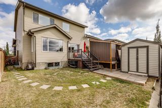 Photo 39: 2304 Sagewood Heights SW: Airdrie Detached for sale : MLS®# A2069221