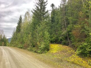 Photo 38: 3,4,6 Armstrong Road in Eagle Bay: Vacant Land for sale : MLS®# 10133907
