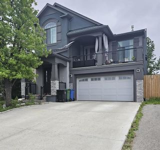 Photo 3: 59 Castlebrook Road NE in Calgary: Castleridge Detached for sale : MLS®# A2036250
