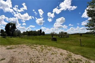 Photo 6: HWY 27 RANGE ROAD 272: Rural Mountain View County Land for sale : MLS®# C4302641