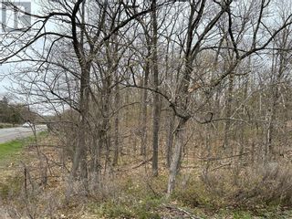 Photo 18: 1382 COUNTY ROAD 36 ROAD in Bobcaygeon: Vacant Land for sale : MLS®# 1339750