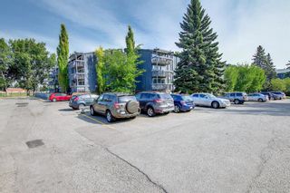 Photo 42: 327 820 89 Avenue SW in Calgary: Haysboro Apartment for sale : MLS®# A1170010