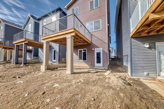 Photo 45: 251 Aquila Way NW in Calgary: C-473 Detached for sale : MLS®# A2116404
